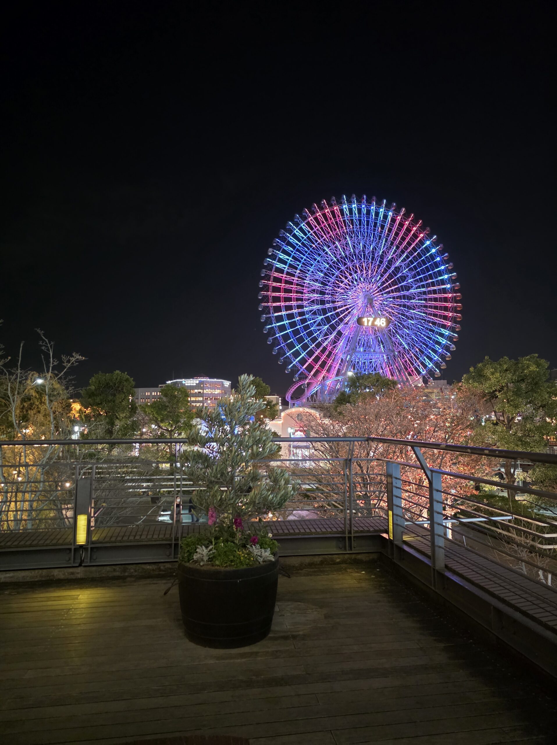 Samsun Galaxy S25 Ultra