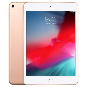 iPad mini 7.9インチ 第5世代 セルラーモデルの画像